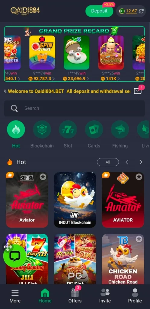 QAIDI804 Game interface screenshot image